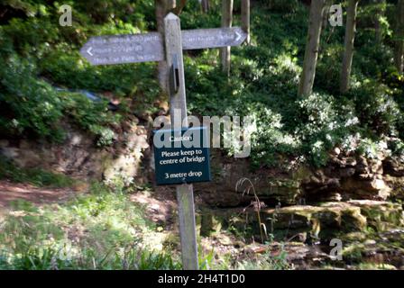 Leaning wooden signpost with bridge warning at Cragside, Rothbury, Northumberland, England, UK, United Kingdom Stock Photo