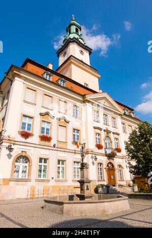 Ratusz W Jeleniej Górze, town hall of Jelenia Gora, Rynek Jeleniogórski ...