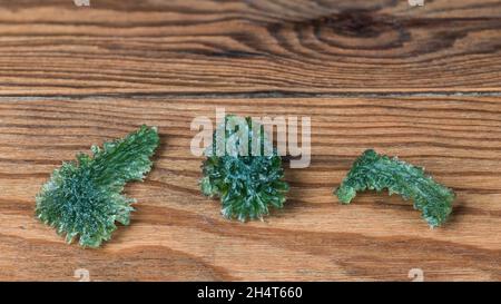 Three green raw moldavite gemstones on brown wood background. Set of beautiful mystery glass tektites of meteoritic origin with rough wrinkly pattern. Stock Photo