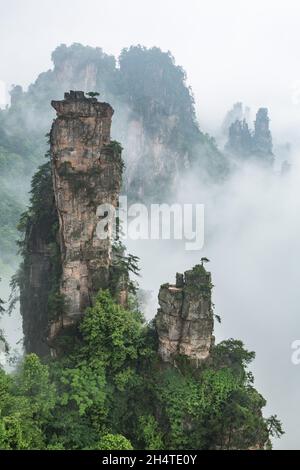 Morning fog in the quartzite sandstone pillars of the Tianzi Mountain area of Zhangjiajie National Forest Park, China. Stock Photo