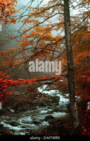 Different colors of the nature. Stock Photo