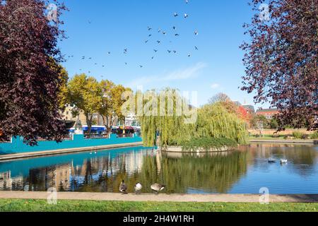 Pond on Feltham Green, High Street, Feltham, London Borough of Hounslow, Greater London, England, United Kingdom Stock Photo