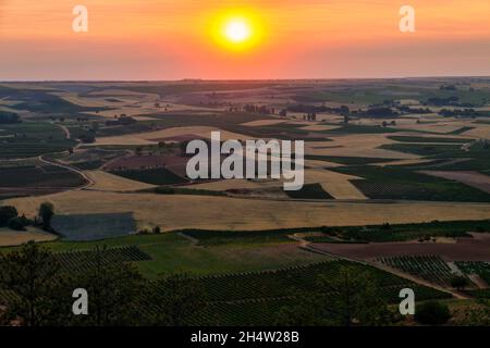 Stunning sunset over the vineyards and other crops in the fields of the Ribera del Duero, in Castilla y Leon, Spain Stock Photo