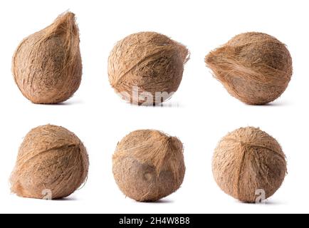 coconut, set of healthy tropical fruits in different angles, isolated on white background, collection Stock Photo