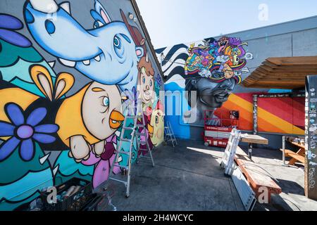 Mural artworks at RiNo art district in Denver, Colorado, USA Stock Photo