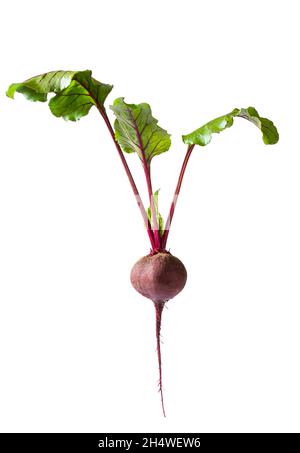 Red beetroot  with leaves isolated on white Stock Photo