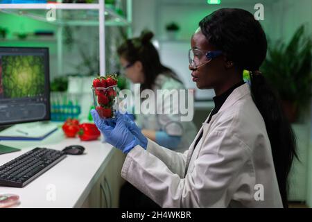 African american chemist researcher looking at strawberry fruit working at biochemistry experiment in hospital laboratory. Multiethnic scientist team examining fruits modified genetically in lab-grown Stock Photo