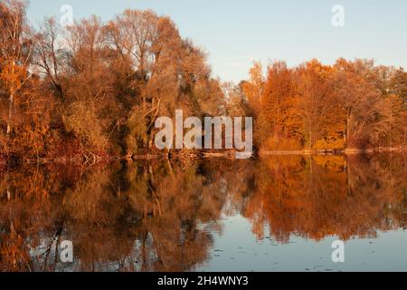 Lake with tree reflections on the calm surface in the autumn sun Stock Photo