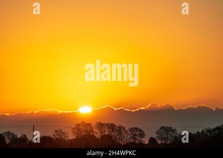 Telephoto shot of the sunrise over a silhouetted landscape of trees. Horizon very low in frame, with a large sun appearing from behind a cloud as it rises up into a yellow sky Stock Photo