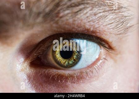 Close up shot of man green-brown eye. Human eye or eyeball on dramatic light Stock Photo