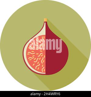Fig flat icon. Tropical fruit. Vector illustration, eps 10 Stock Vector