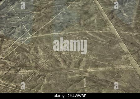 The Condor geoglyph figure in the peruvian coastal desert known as the mysterious Nazca Lines, Nazca City, Peru. Stock Photo