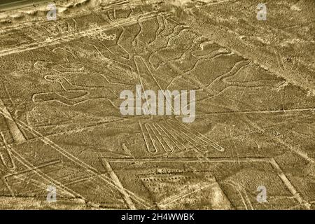 The Tree. View of geoglyph of tree, Nasca Lines, Peru Stock Photo