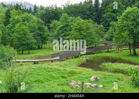 Footbridge with railing over a lake in the middle of a green forest Stock Photo