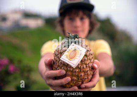 child holding whole native Sao Miguel pineapple fruit in hand, Ponta Delgada, São Miguel, Azores Stock Photo