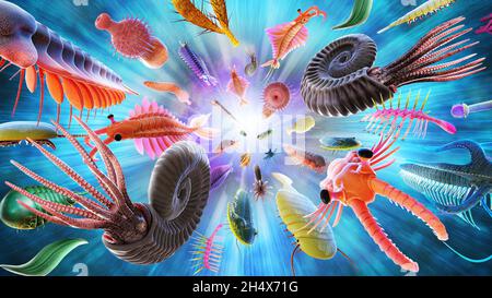 Cambrian explosion or Cambrian radiation Stock Photo