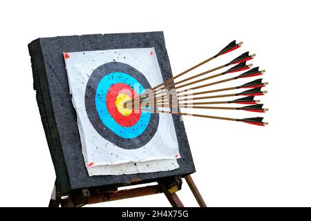 Arrows Hitting The Center Of Target isolated on white Success Business Concept conceptual Stock Photo