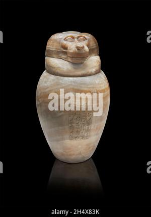 Ancient Egyptian canopic jar depicting the baboon Hapi, circa 525 BC, end of 26th dynasty, alabastre Louvre Museum  N 2969 or CC88. Monkey headed Hapi Stock Photo