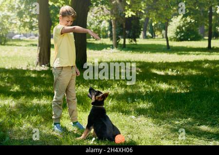 Caucasian teenager in casual clothes training german shepherd puppy at summer park. Cute boy giving commands with hand to little dog outdoors. Stock Photo