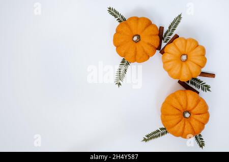three orange pumpkins with cinnamon sticks and Jacaranda mimosifolia leaves on white background banner mockup Stock Photo
