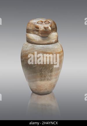 Ancient Egyptian canopic jar depicting the baboon Hapi, circa 525 BC, end of 26th dynasty, alabastre Louvre Museum  N 2969 or CC88. Monkey headed Hapi Stock Photo