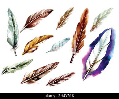 Hand drawn feathers watercolor set on white background Stock Vector