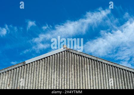 corrugated industrial building with blue sky Stock Photo