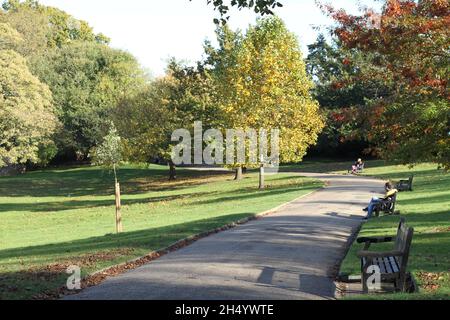 Colchester, UK. 05th Nov 2021. Relaxing in the warm autumn sunshine in the Castle Park, Colchester, Essex. Credit: Eastern Views/Alamy Live News Stock Photo