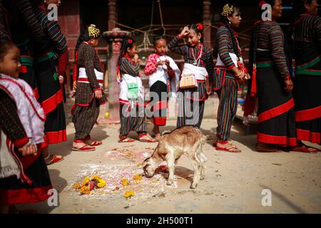 Lalitpur, Bagmati, Nepal. 5th Nov, 2021. Girls in a traditional attire during a parade of Nhu Dan (the Newari New Year), which falls on Tihar or Deepawali and Dewali Festival of Lights at Khokana, Lalitpur, Nepal on Friday, Nov 5, 2021. Credit: Amit Machamasi/ZUMA Wire/Alamy Live News Stock Photo