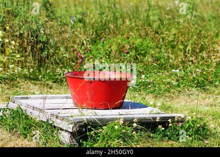 Close-up of an old, red, rusting, steel bucket on top of an old, wooden well cover. Stock Photo