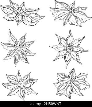 Spices set of linear icons. Vector image Stock Vector