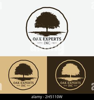 Oak Maple Tree for Outdoor Landscape Tree Experts Business Brand Company in Vintage Retro Hipster Old Rustic Style Logo Design. Stock Vector