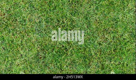 Fully seamless authentic real mown grass green background. 40 Mpix tileable both vertically and horizontally Stock Photo