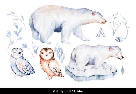 polar animals watercolor collections. snowy owl. reindeer. polar bear. fox. penguin. walrus seal hare whale Stock Photo