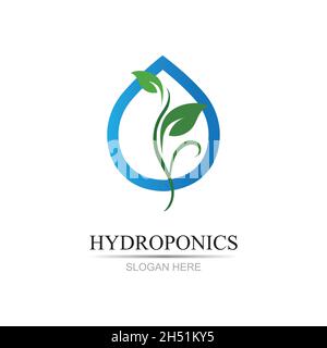 hydroponics logo vector illustration design template Stock Vector