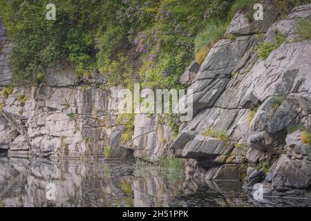 Lilac flowers spread on the wall of the canyon, the best stone texture, Landscape of the Buk canyon Stock Photo
