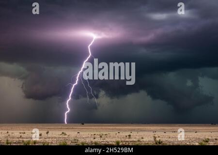 Lightning strike and dark storm clouds in a thunderstorm near House, New Mexico Stock Photo