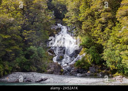 Views of New Zealand. Small waterfall among the greenery. Stock Photo