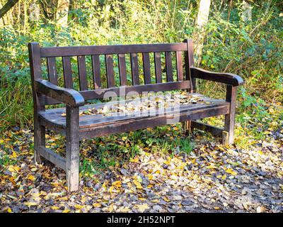 Wooden bench in a wood covered in fallen autumn leaves Stock Photo