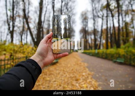 Taking pictures via frameless smartphone at autumn park Stock Photo