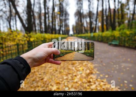 Taking pictures via frameless smartphone at autumn park Stock Photo