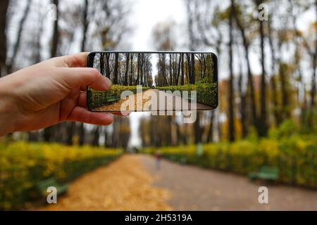Taking pictures via frameless smartphone at autumn park Stock Photo