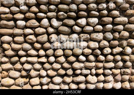 pebble wall or wall made from inlaid pebbles a traditional stone wall devon england uk gb europe Stock Photo