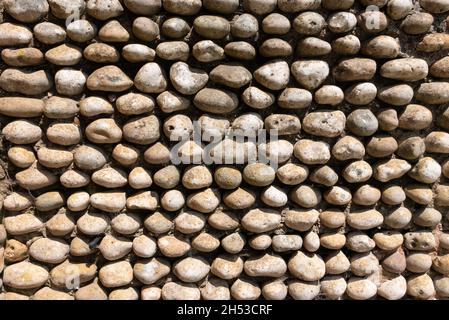pebble wall or wall made from inlaid pebbles a traditional stone wall devon england uk gb europe Stock Photo