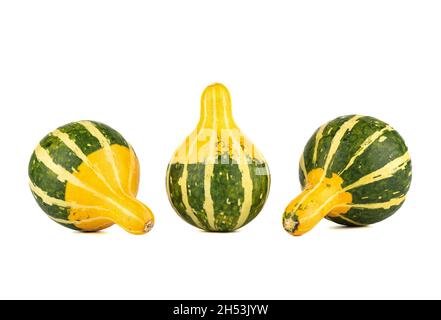 Three small striped decorative pumpkins isolated on a white background. Copy space. Stock Photo