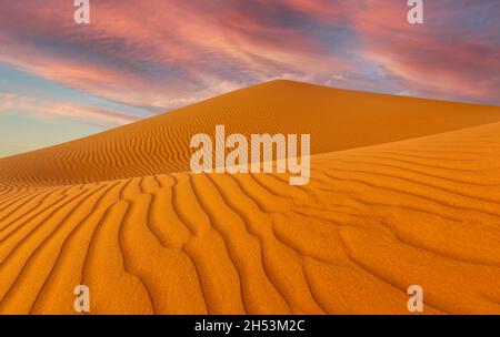 Wahiba sand dunes in the Oman Stock Photo