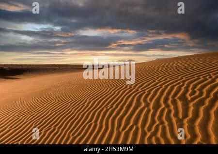 Wahiba sand dunes in the Oman Stock Photo
