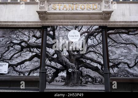 Tree photograph covers the old shop front to Stanfords map shop on 19th October 2021 in London, United Kingdom. Stanfords is a specialist bookshop of maps and travel books in London, established in 1853 by Edward Stanford. Its collection of maps, globes, and maritime charts is considered the worlds largest. In 2018 Stanfords opened a new location at 7 Mercer Walk in Covent Garden. Stock Photo