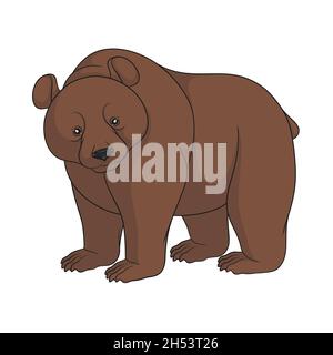 Color image of a brown bear. Isolated object on white background. Stock Vector
