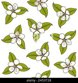Seamless pattern with white spring flowers. Color vector illustration with isolated objects on a white background. Stock Vector